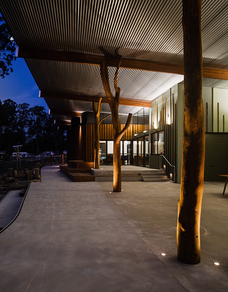 Taree First Steps Tovo Feature Image