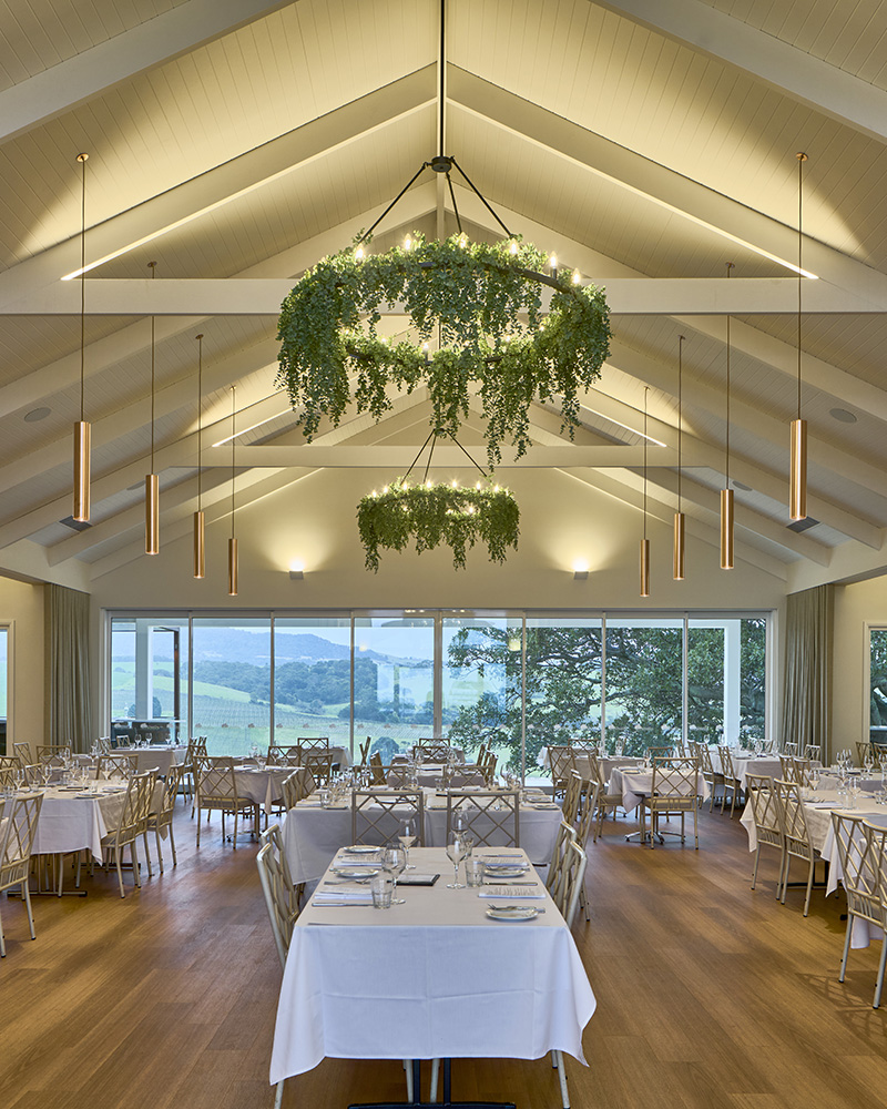 Tovo Crw Feature Photo